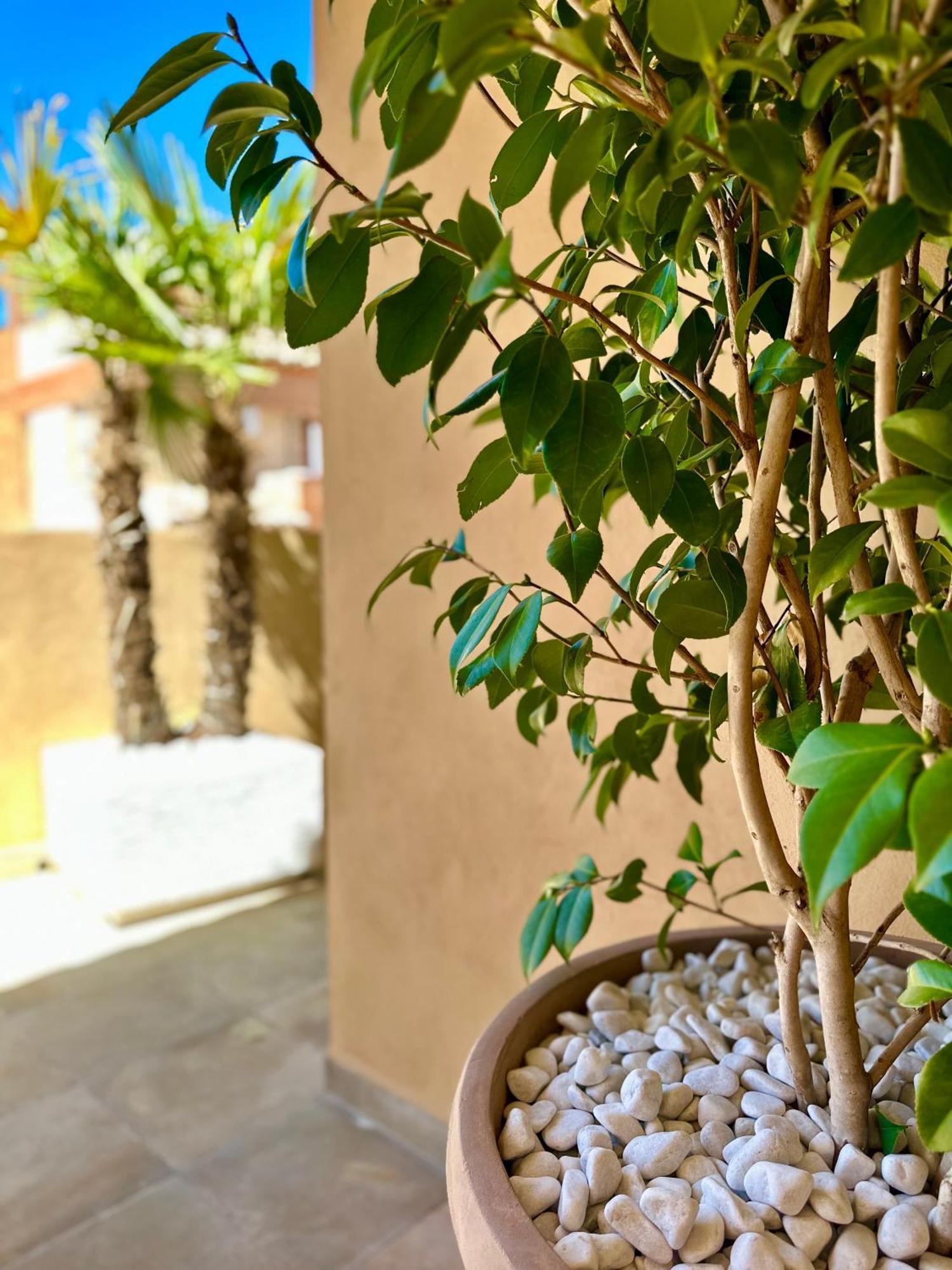 Libelle Apartment Granada Exterior photo